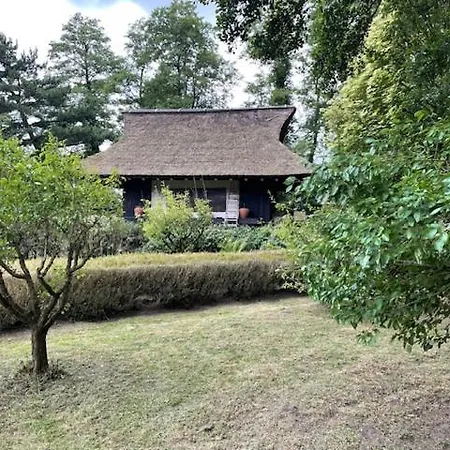 Luxe Hofstede Met Paardenstalling Lunteren