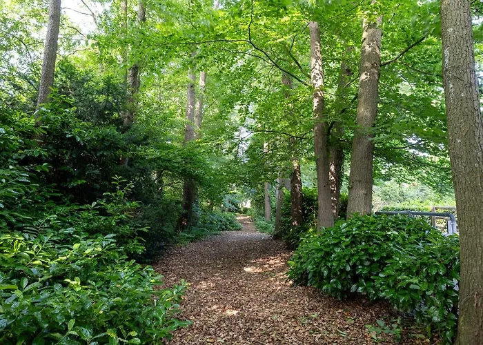 Luxe Hofstede Met Paardenstalling *