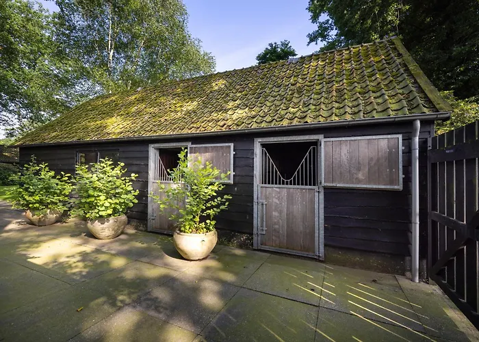 Luxe Hofstede Met Paardenstalling Apartament Lunteren